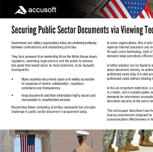 document preview